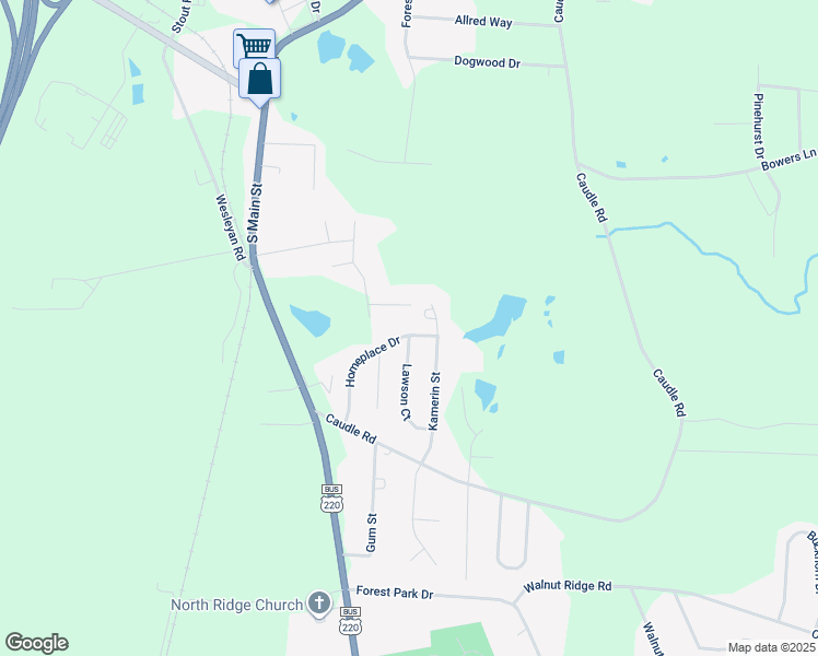 map of restaurants, bars, coffee shops, grocery stores, and more near 237 Homeplace Drive in Randleman