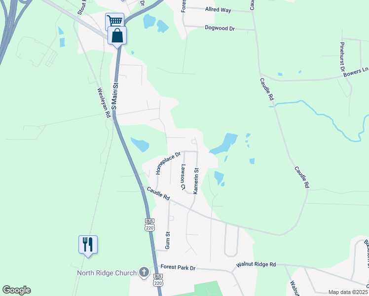 map of restaurants, bars, coffee shops, grocery stores, and more near 237 Homeplace Drive in Randleman