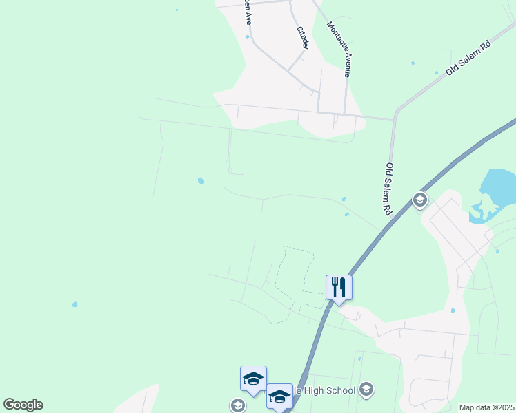 map of restaurants, bars, coffee shops, grocery stores, and more near 1100 Pusher Place in Rockvale