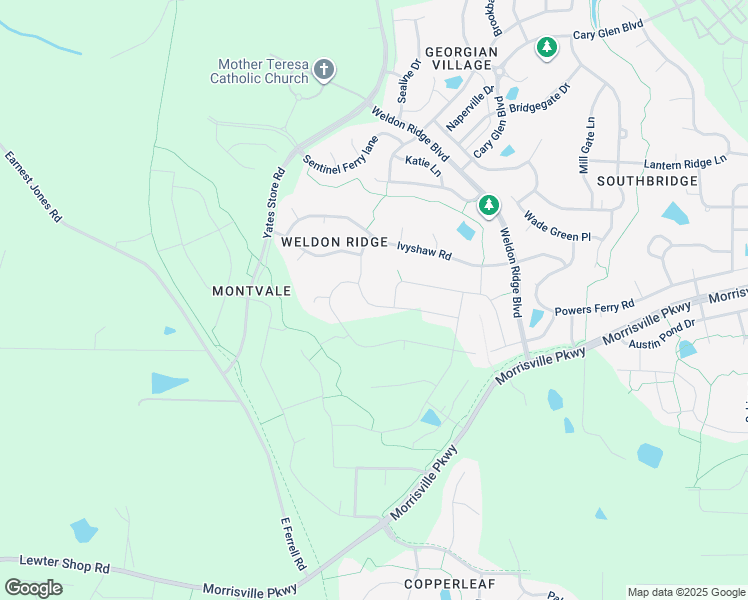 map of restaurants, bars, coffee shops, grocery stores, and more near 313 Bridle Boast Road in Cary