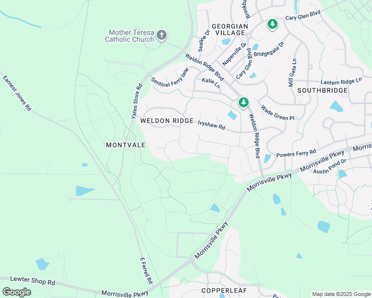 map of restaurants, bars, coffee shops, grocery stores, and more near 313 Bridle Boast Road in Cary