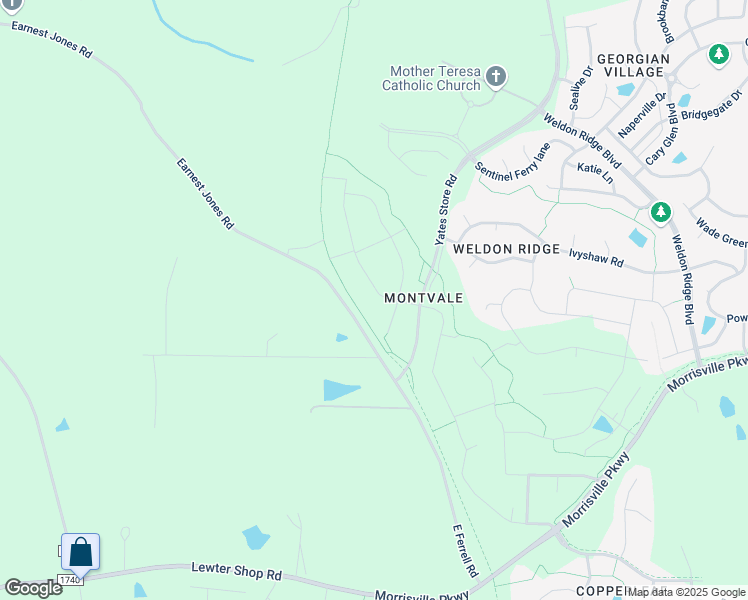 map of restaurants, bars, coffee shops, grocery stores, and more near 1209 Montvale Ridge Drive in Cary