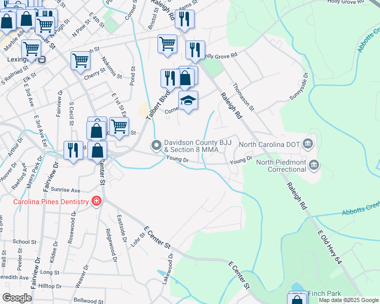 map of restaurants, bars, coffee shops, grocery stores, and more near 161 Young Drive in Lexington
