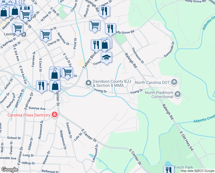 map of restaurants, bars, coffee shops, grocery stores, and more near 161 Young Drive in Lexington
