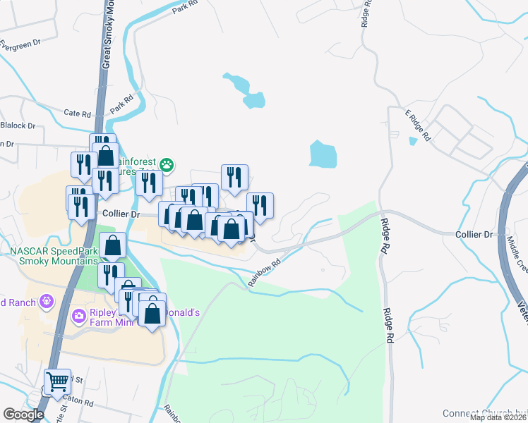 map of restaurants, bars, coffee shops, grocery stores, and more near 229 Collier Drive in Sevierville