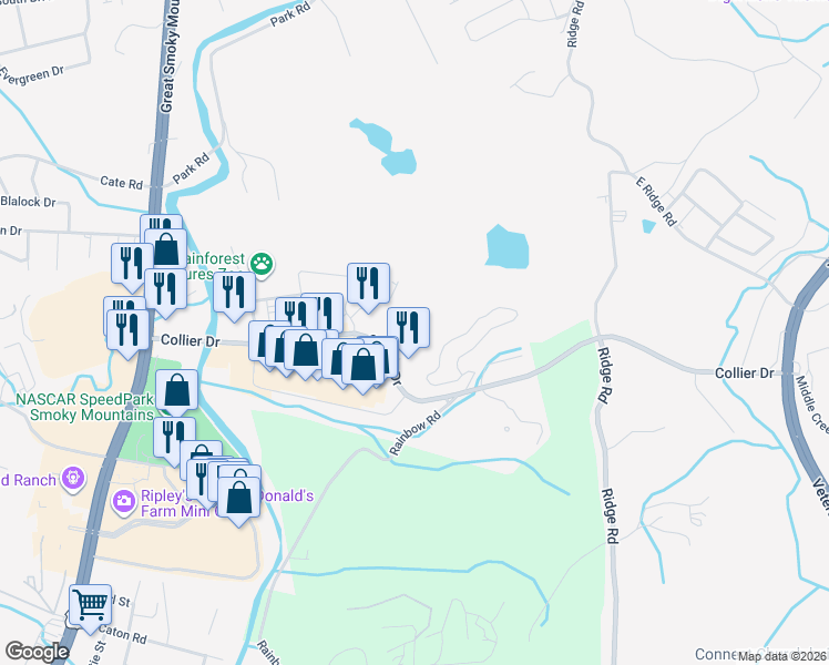 map of restaurants, bars, coffee shops, grocery stores, and more near 229 Collier Drive in Sevierville