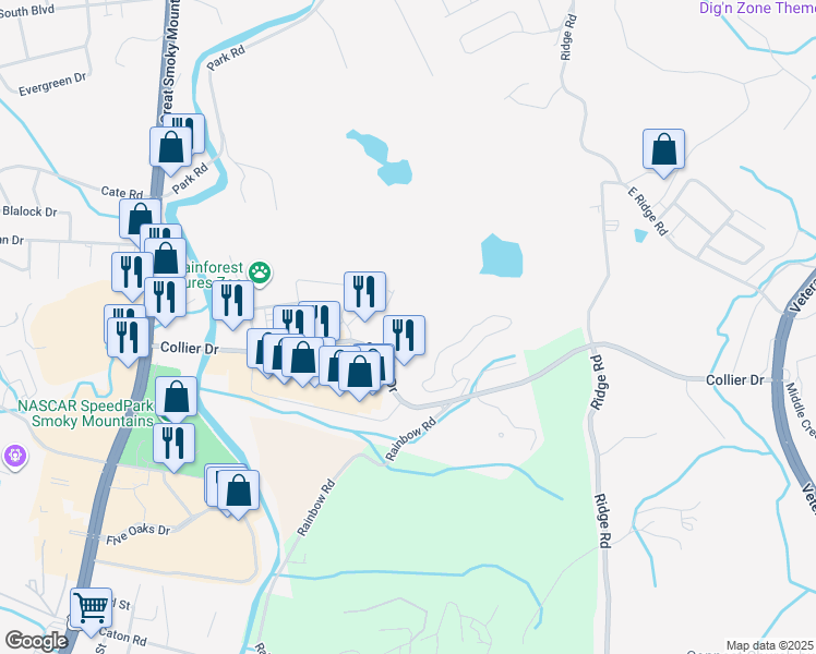 map of restaurants, bars, coffee shops, grocery stores, and more near 225 Collier Drive in Sevierville
