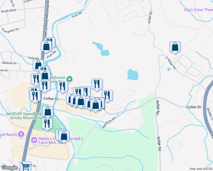 map of restaurants, bars, coffee shops, grocery stores, and more near 225 Collier Drive in Sevierville