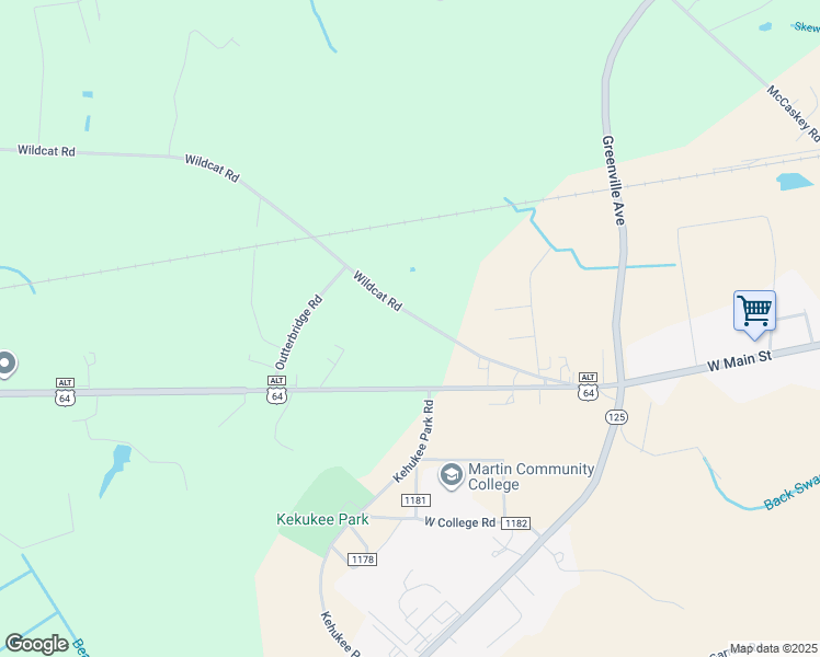 map of restaurants, bars, coffee shops, grocery stores, and more near 217 Wild Cat Road in Williamston