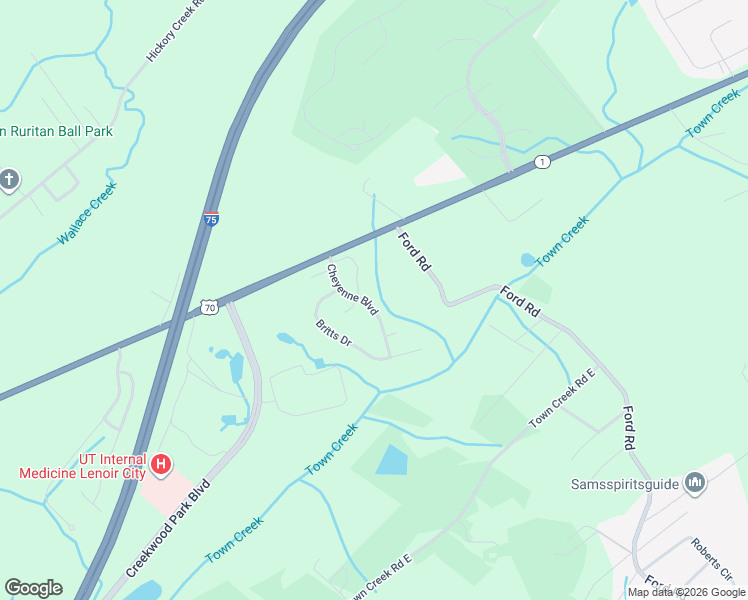 map of restaurants, bars, coffee shops, grocery stores, and more near 1025 Cheyenne Boulevard in Lenoir City