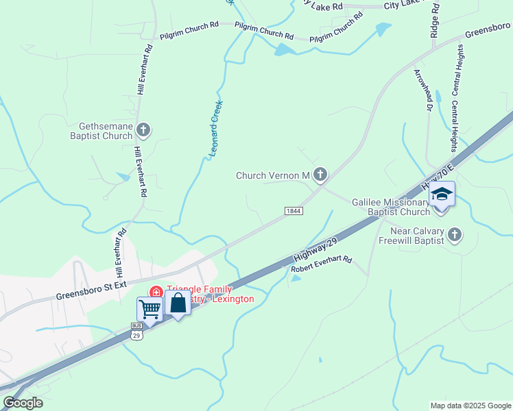 map of restaurants, bars, coffee shops, grocery stores, and more near 1541 Greensboro Street Extension in Lexington
