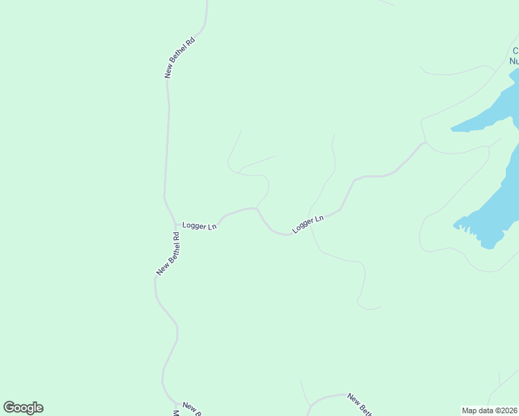 map of restaurants, bars, coffee shops, grocery stores, and more near 313 Logger Lane in Cedar Grove