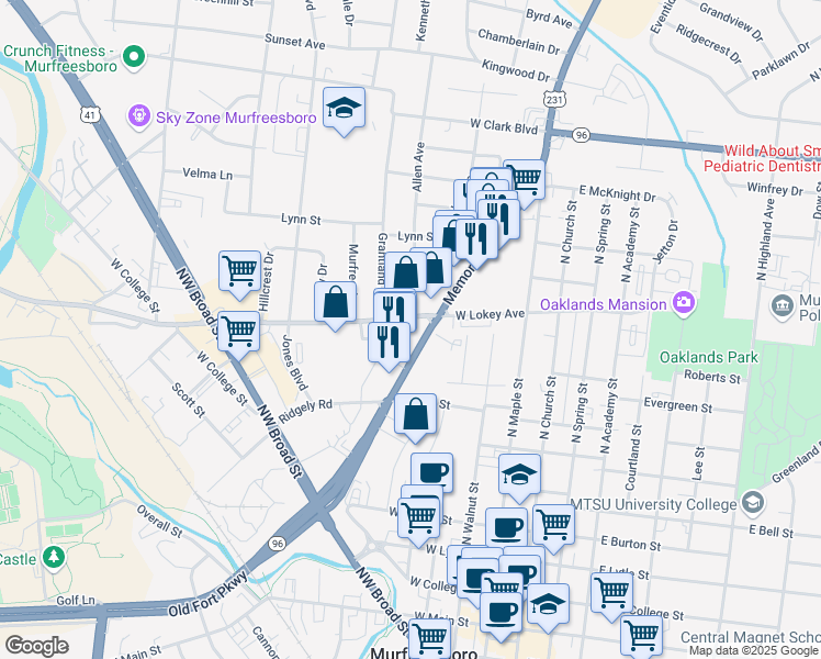 map of restaurants, bars, coffee shops, grocery stores, and more near 420 Medical Center Parkway in Murfreesboro
