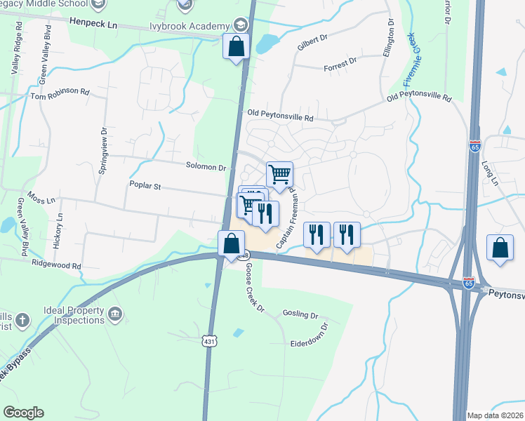 map of restaurants, bars, coffee shops, grocery stores, and more near 317 Levisa Lane in Franklin