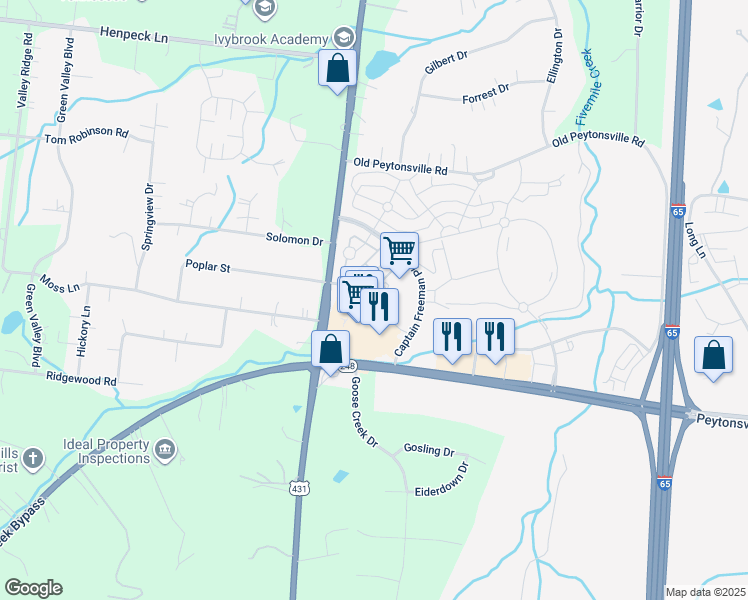 map of restaurants, bars, coffee shops, grocery stores, and more near 317 Levisa Lane in Franklin