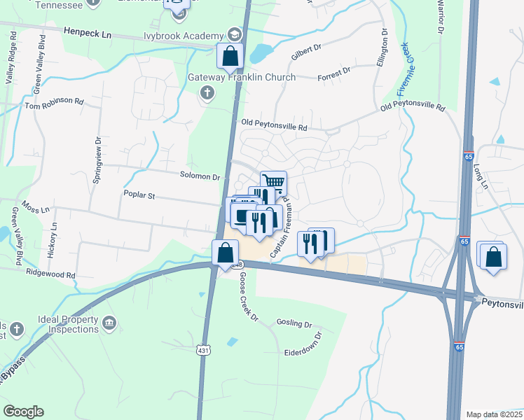 map of restaurants, bars, coffee shops, grocery stores, and more near 317 Levisa Lane in Franklin