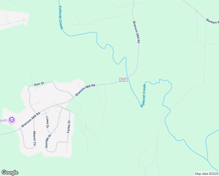 map of restaurants, bars, coffee shops, grocery stores, and more near 866 Branson Mill Road in Randleman