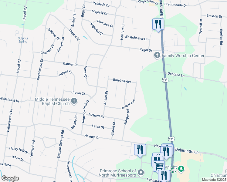 map of restaurants, bars, coffee shops, grocery stores, and more near 2802 Amber Drive in Murfreesboro