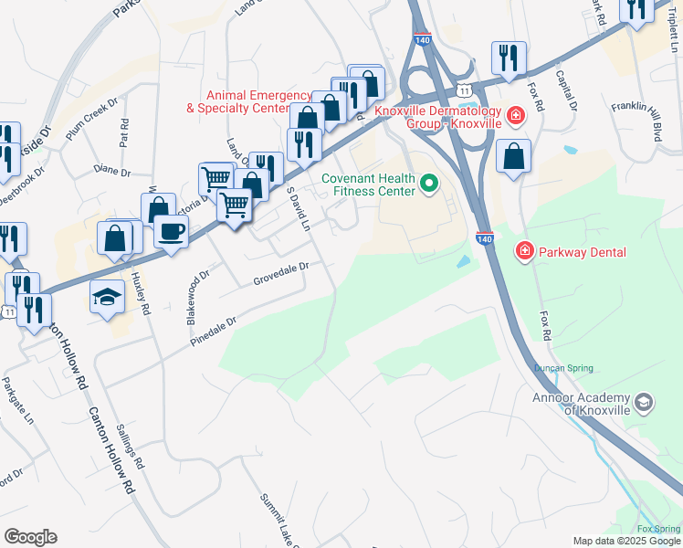 map of restaurants, bars, coffee shops, grocery stores, and more near 306 South David Lane in Knoxville