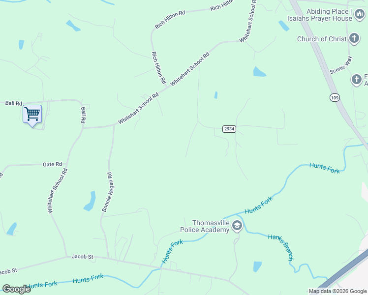 map of restaurants, bars, coffee shops, grocery stores, and more near 204 Pine Valley Road in Thomasville