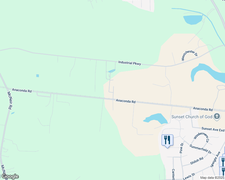 map of restaurants, bars, coffee shops, grocery stores, and more near 2700 Anaconda Road in Tarboro