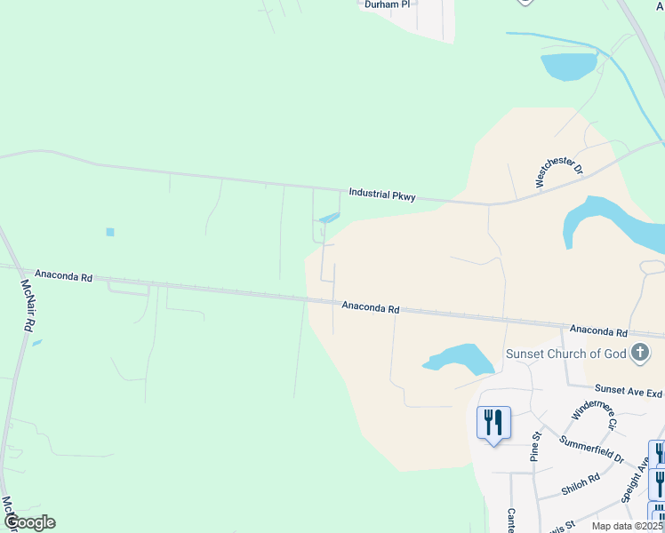map of restaurants, bars, coffee shops, grocery stores, and more near 2700 Anaconda Road in Tarboro