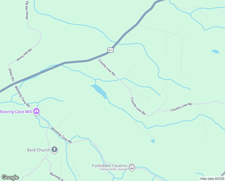 map of restaurants, bars, coffee shops, grocery stores, and more near 162 County Line Road in Dandridge