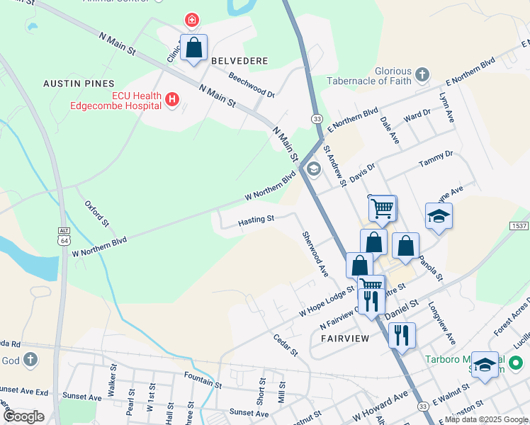 map of restaurants, bars, coffee shops, grocery stores, and more near 210 Hasting Street in Tarboro