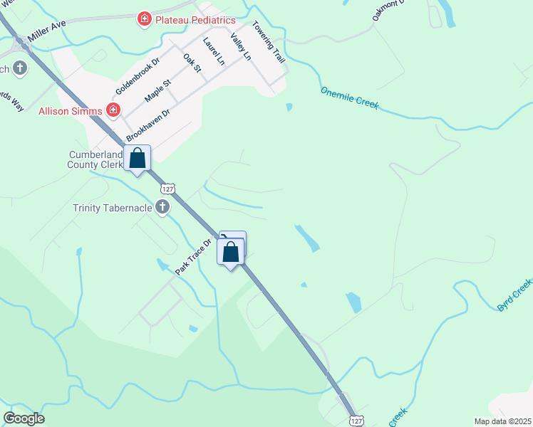map of restaurants, bars, coffee shops, grocery stores, and more near 102 Jantel Drive in Crossville