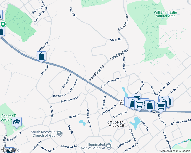 map of restaurants, bars, coffee shops, grocery stores, and more near 203 East Red Bud Road in Knoxville