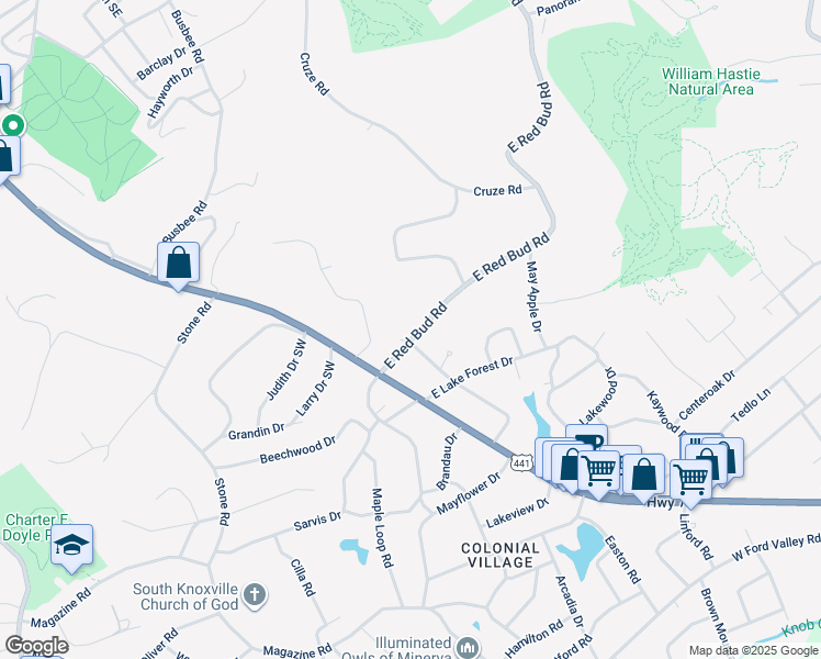 map of restaurants, bars, coffee shops, grocery stores, and more near 203 East Red Bud Road in Knoxville