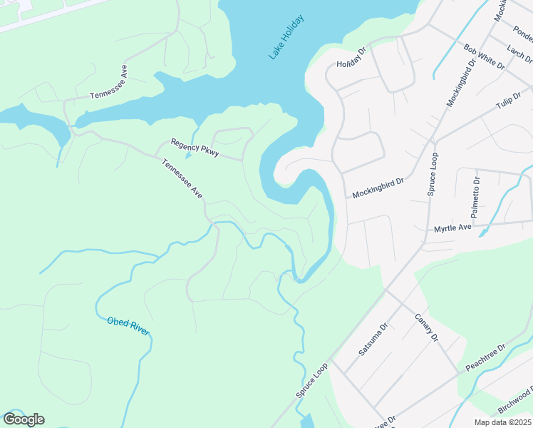 map of restaurants, bars, coffee shops, grocery stores, and more near 498 Riverbend Drive in Crossville