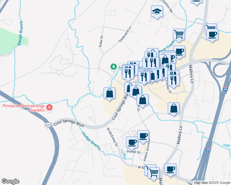 map of restaurants, bars, coffee shops, grocery stores, and more near 341 Cool Springs Blvd in Franklin