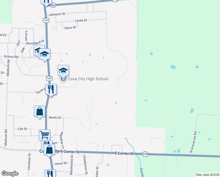 map of restaurants, bars, coffee shops, grocery stores, and more near in Cave City