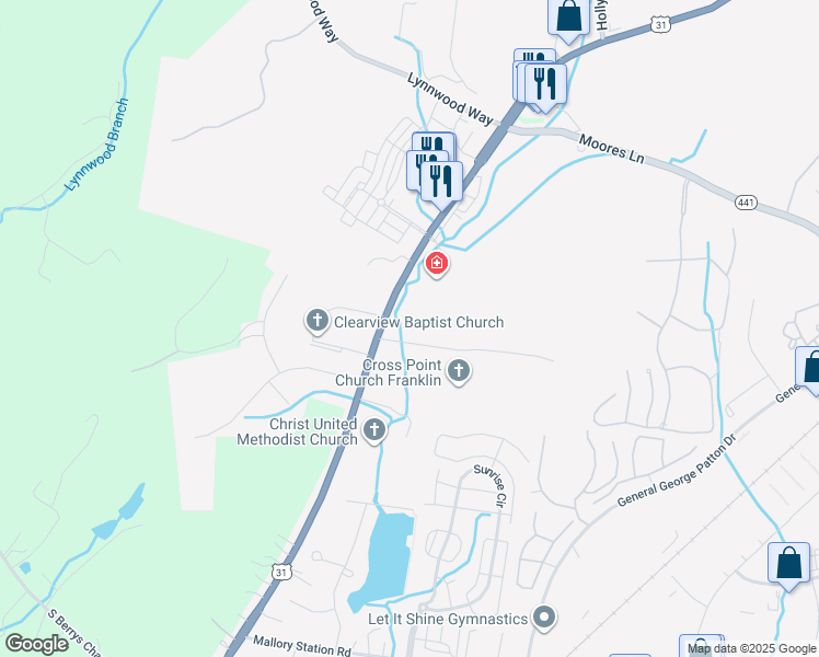 map of restaurants, bars, coffee shops, grocery stores, and more near 540 Franklin Road in Franklin