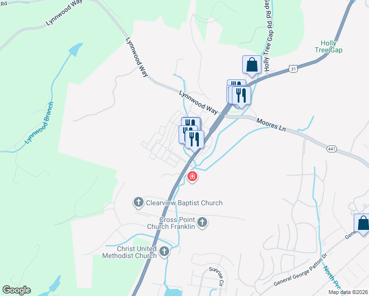 map of restaurants, bars, coffee shops, grocery stores, and more near 1115 Davenport Boulevard in Franklin