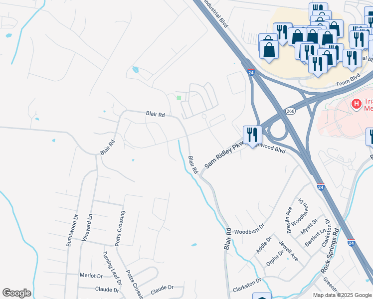 map of restaurants, bars, coffee shops, grocery stores, and more near 293-363 Blair Rd in Smyrna