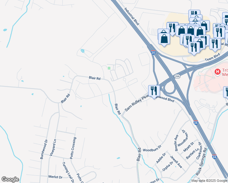 map of restaurants, bars, coffee shops, grocery stores, and more near 293 Blair Road in Smyrna