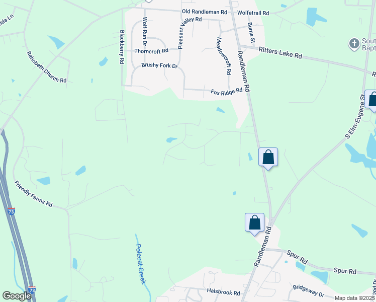 map of restaurants, bars, coffee shops, grocery stores, and more near 1007 Ronald Road in Greensboro
