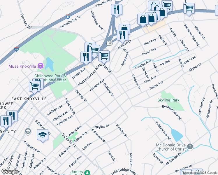 map of restaurants, bars, coffee shops, grocery stores, and more near 216 Oakland Street in Knoxville
