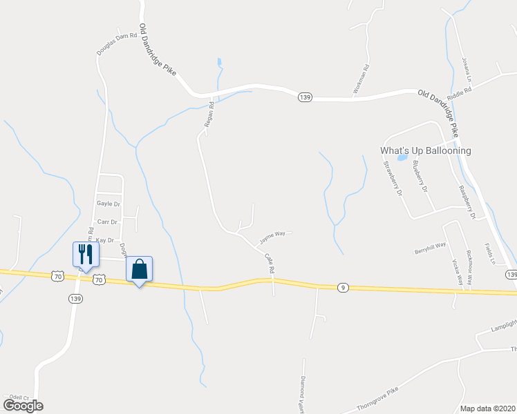 map of restaurants, bars, coffee shops, grocery stores, and more near 319 Hardin Way in Strawberry Plains