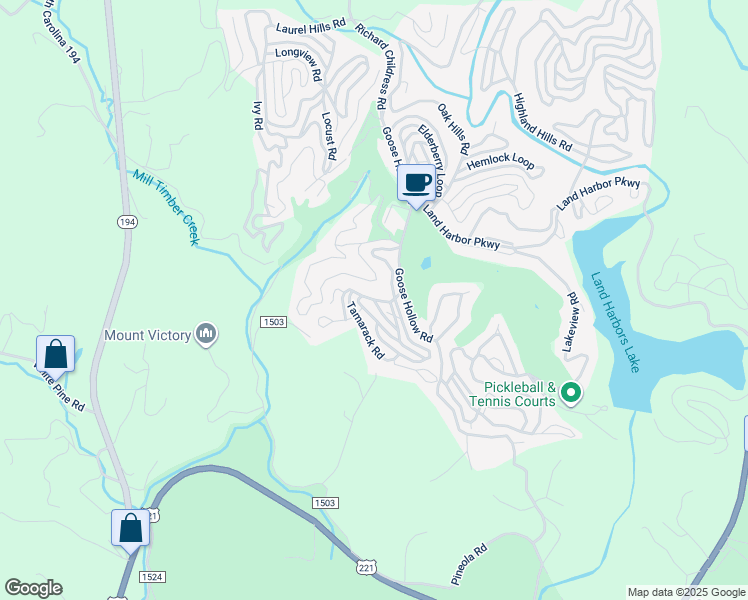 map of restaurants, bars, coffee shops, grocery stores, and more near Rocky Meadows Road in Avery County