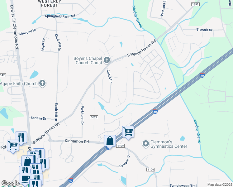 map of restaurants, bars, coffee shops, grocery stores, and more near 865 Cameron Village Drive in Winston-Salem