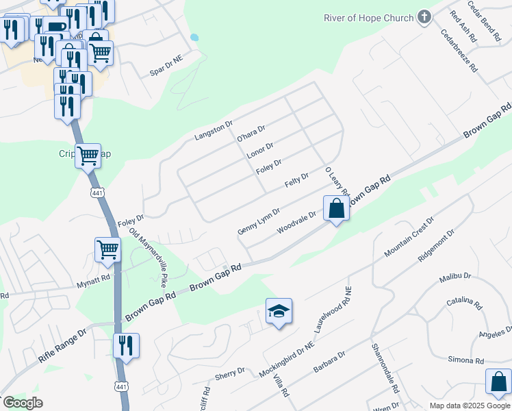 map of restaurants, bars, coffee shops, grocery stores, and more near 4233 Felty Drive in Knoxville