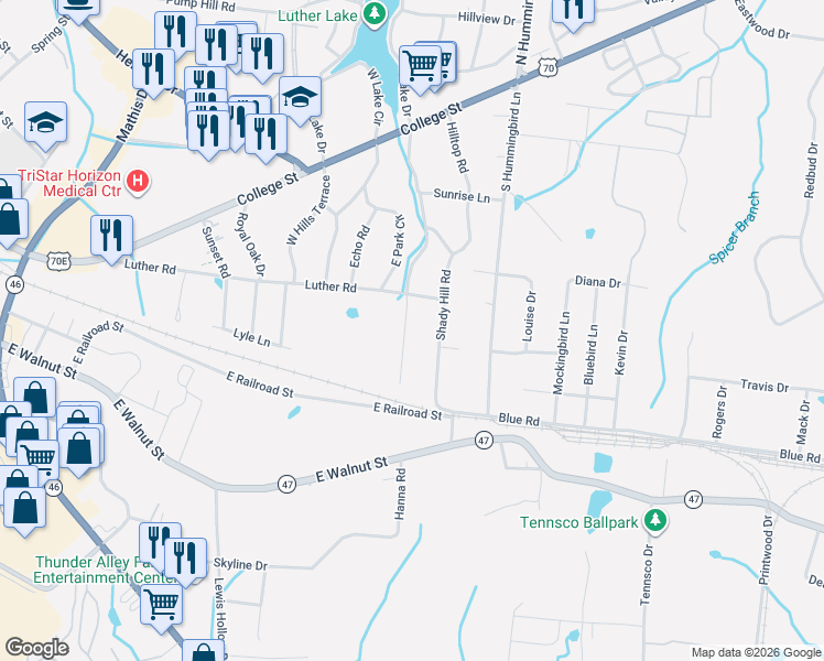 map of restaurants, bars, coffee shops, grocery stores, and more near 207 Luther Ct in Dickson