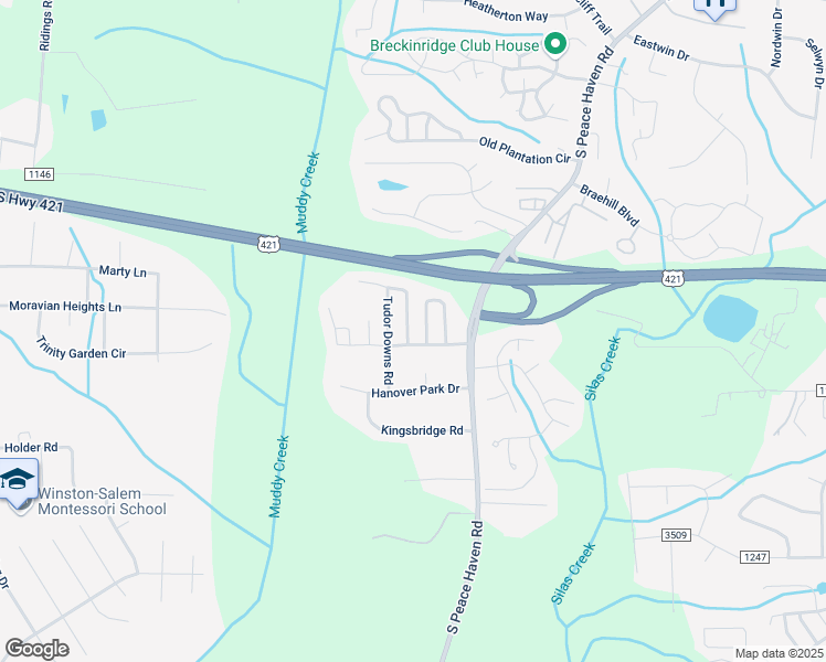 map of restaurants, bars, coffee shops, grocery stores, and more near 113 Charlotte Court in Winston-Salem