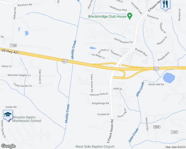 map of restaurants, bars, coffee shops, grocery stores, and more near 165 Tudor Downs Road in Winston-Salem