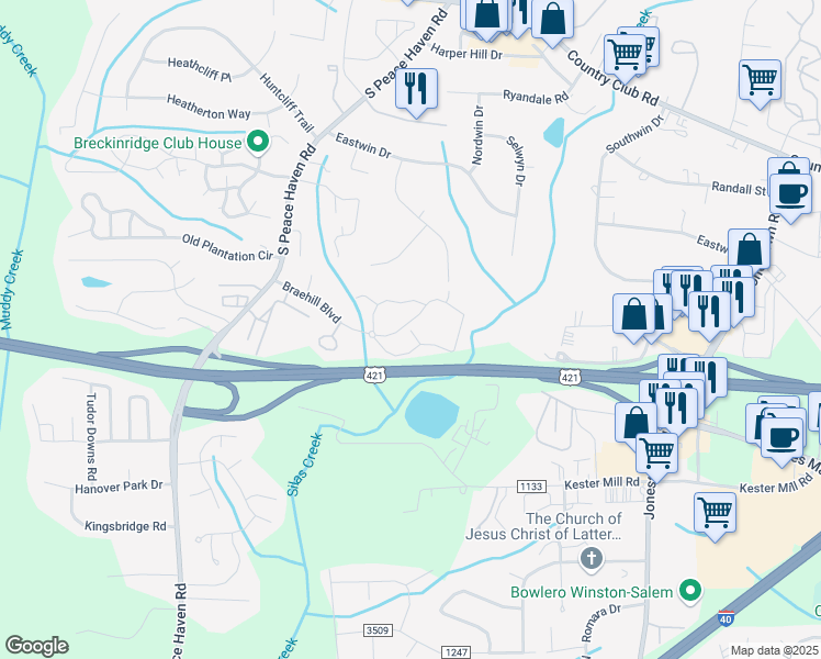 map of restaurants, bars, coffee shops, grocery stores, and more near Braehill Court in Winston-Salem