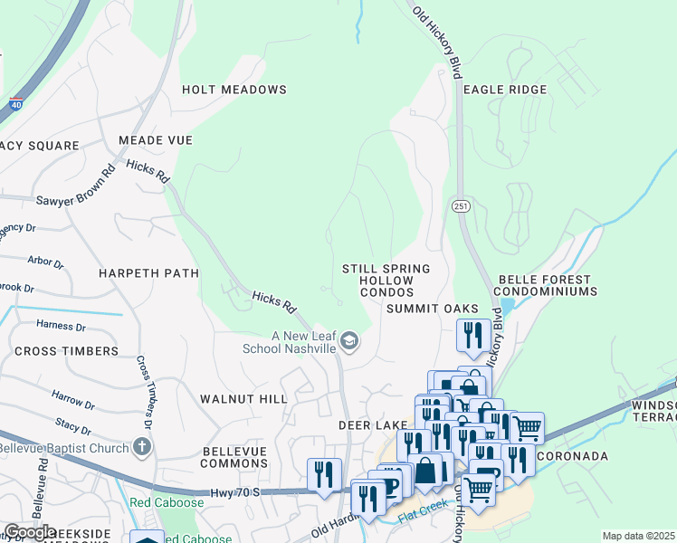 map of restaurants, bars, coffee shops, grocery stores, and more near 229 Still Spring Hollow Court in Nashville