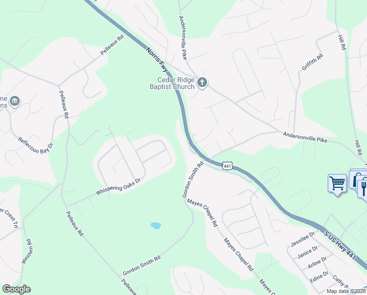 map of restaurants, bars, coffee shops, grocery stores, and more near 7819 Norris Freeway in Knoxville